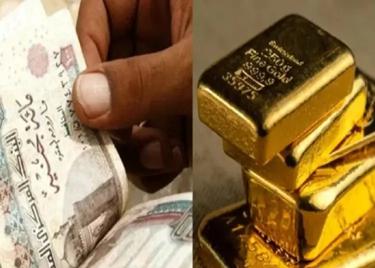 خبير يقارن بين الشهادات الأدخارية والذهب أيهما احسن للاستثمار 1 اكتشاف مناجم ذهب جديدة