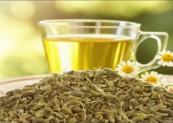 أضرار الإفراط في شرب الينسون