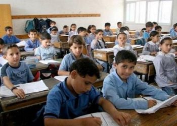 نتيجة الصف الرابع الإبتدائي ظهرت الآن بالإسم ورقم الجلوس