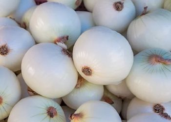 أعرف فوائد تناول البصل الأبيض منها تعزيز الجهاز المناعي