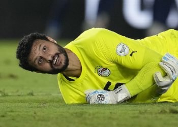 محمد الشناوي