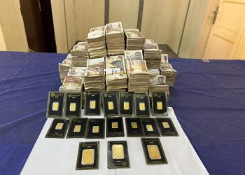 قصة حيتان الذهب والتنقيب