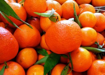 اليوسفي على الرغم من فوائده الكثيرة ولكن أحذر تناوله بكثرة لهذه الأسباب