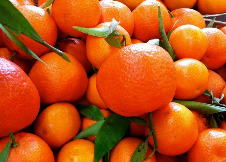 اليوسفي على الرغم من فوائده الكثيرة ولكن أحذر تناوله بكثرة لهذه الأسباب 1 yosfy4