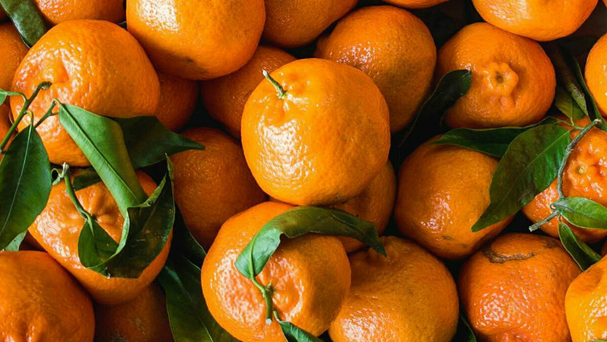 اليوسفي على الرغم من فوائده الكثيرة ولكن أحذر تناوله بكثرة لهذه الأسباب 4 yosfyy