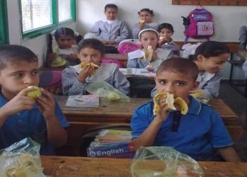 تواطؤ في توريد الوجبات المدرسية