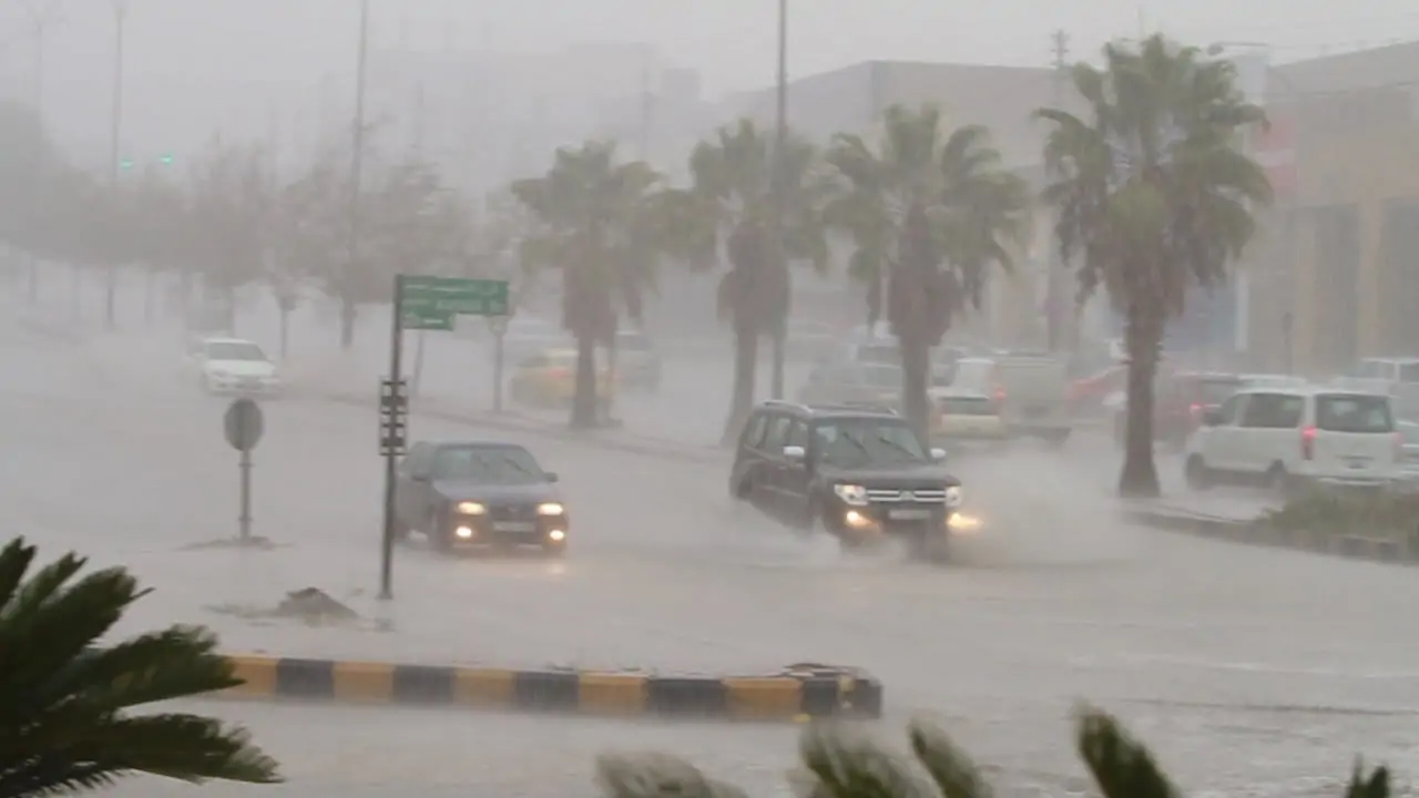 شهر أمشير جبنالك الحل للحماية من كل أمراض الزعابيب 3 شهر أمشير و الزعابيب