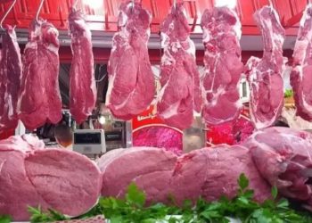 انخفاض مرتقب في سعر اللحوم البلدي والمستوردة بكام الكيلو بعد انهيار الدولار