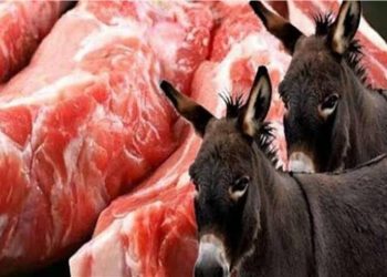 علامات لحم الحمير رئيس قسم الارشاد البيطري يكشف ازاى تميزها عن اللحوم العادية