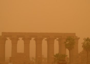 شهر أمشير جبنالك الحل للحماية من كل أمراض الزعابيب