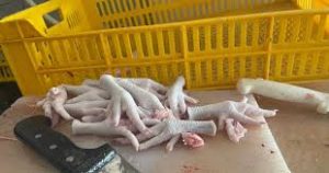 فوائد ماتعرفهاش عن تناول أرجل الدجاج أظافر قوية وضغط منتظم 2 فوائد تناول أرجل الدجاج