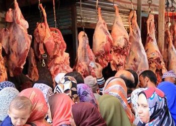 بشرى سارة تعلنها شعبة اللحوم قبل رمضان لتخفيف العبء وتحسين معيشة المواطنين