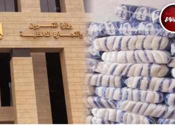 قضية فساد التموين