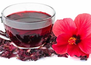 فوائد خارقة لكوب الكركديه يعالج 10 مشاكل صحية خطيرة