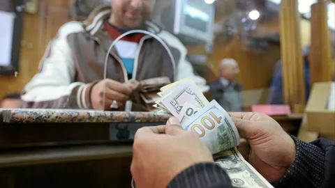 يمامة يلزم المصريين بالخارج بتحويل 20% من دخلهم بالدولار لمصر ويكشف التفاصيل 2 يمامة يلزم المصريين بالخارج