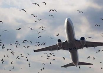 أزمة الوقود تهدد مطارات الدول الأوروبية