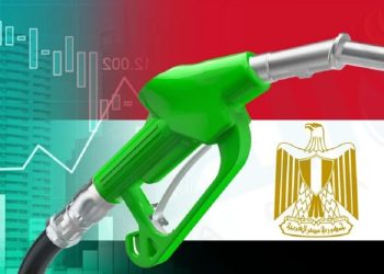 قرار وزير التموين