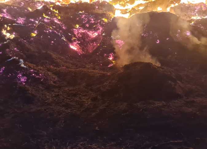 حريق 5 أفدنة مزارع بالإسماعيلية
