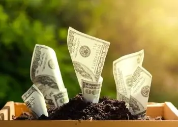 توقع ناري من نائب رئيس بنك سابق هبوط الدولار ل42 جنيه