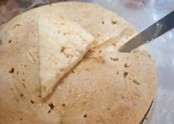 أخطر أنواع الجبن في العالم تسبب أمراض مزمنة مصنوع بواسطة الديدان 6 أخطر أنواع الجبن في العالم