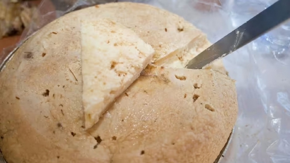 أخطر أنواع الجبن في العالم تسبب أمراض مزمنة مصنوع بواسطة الديدان 4 أخطر أنواع الجبن في العالم