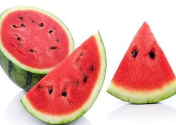 لا تشتروه الآن حقيقة وجود بطيخ مسرطن بالأسواق الزراعة ترد
