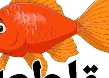 خليها تعفن هل أثرت على أسعار الأسماك بالأسواق حملات المقاطعة اعرف الحقيقة