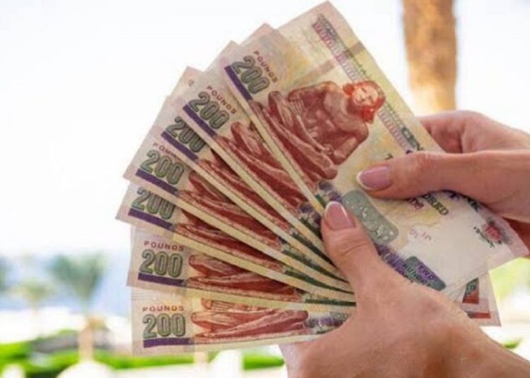 تفاصيل شهادة ادخارية بعائد يومي لو عاوز تبقى مليونير ازاي كل 24 ساعة تكسب 1000 1 348223362 1037697420541898 6620654874558679687 n 525