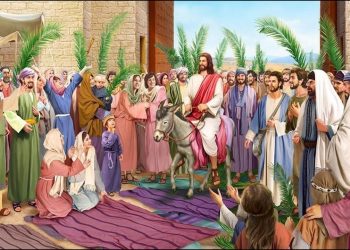 أحد الشعانين اليوم كيف تحتفل به الكنيسة القبطية الأرثوذكسية
