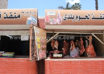 انخفاض مفاجئ في سعر اللحوم بسبب تراجع الدواجن شوف الكيلو وصل كام
