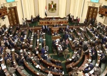 الحكومة - طلب إحاطة برلماني
