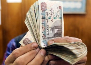 عيدية الحكومة للعاملين بالدولة بمناسبة إغلاق السنة المالية وعيد الأضحى