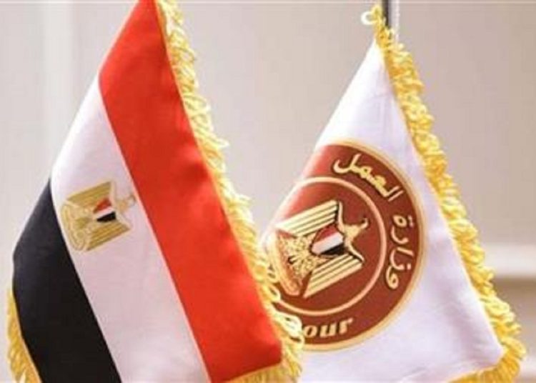 وزارة العمل تزف بشرة سارة للشباب في 9 محافظات 2700 فرصة اعرف التفاصيل 1 348223362 1037697420541898 6620654874558679687 n 391