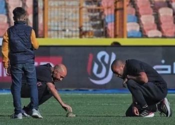 مفاجأة عن سلحفاة أرضية ملعب لقاء الأهلي والاتحاد