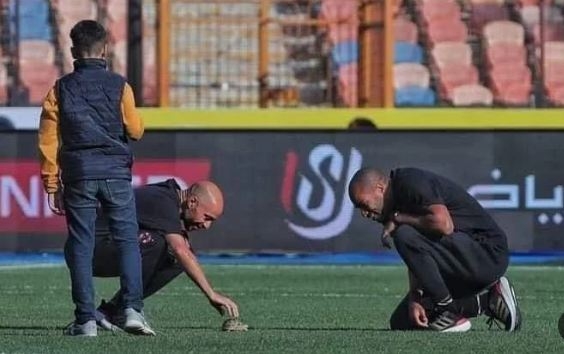 مفاجأة عن سلحفاة أرضية ملعب لقاء الأهلي والاتحاد 1 370213949 1744062112775153 1529020548200417293 n 10