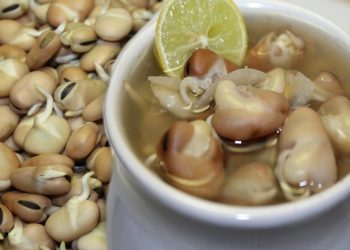 الفول النابت على أصوله طريقة عمله بالخطوات