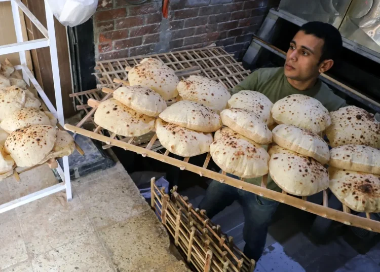 موعد زيادة سعر الخبز السياحي رئيس شعبة المخابز يعلنها رسميا 1 الخبز السياحي