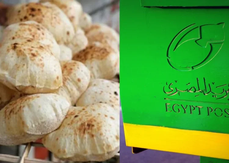 وزارة التموين تكشف تفاصيل عودة المخابز للعمل بعد عطلة عيد الأضحى 1 شعبة المخابز تؤكد