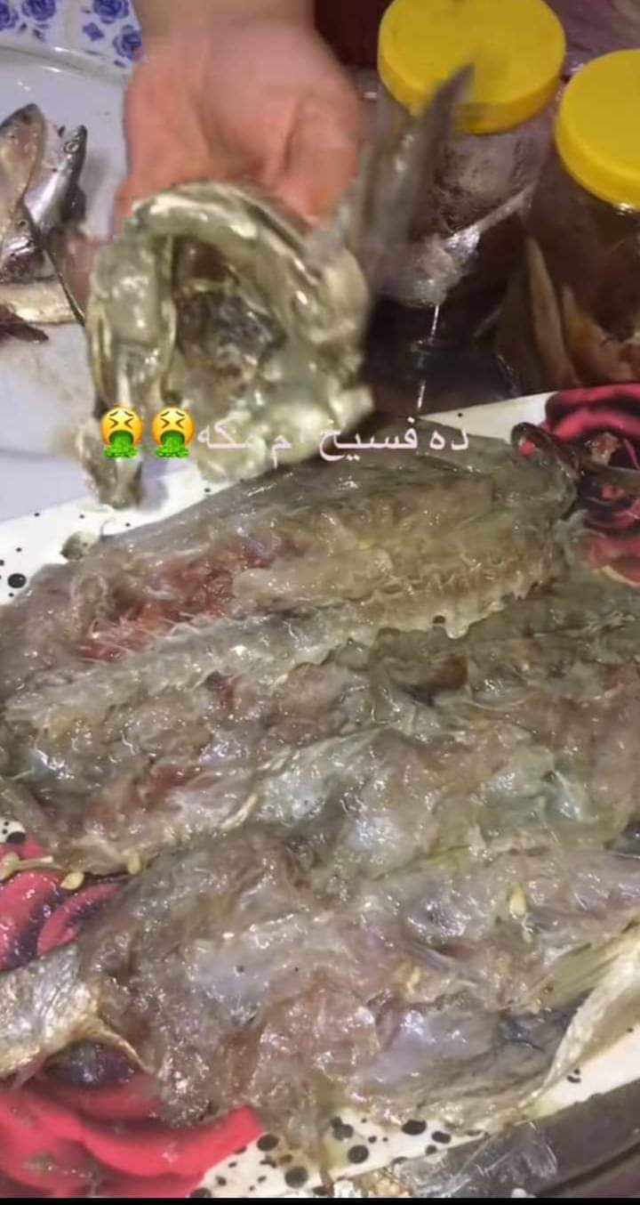 بعد أرتفاع حالات التسمم بسبب منتجات أم مكة ننشر تفاصيل الشكاوي من الفسيخ المسمم 4 حالات التسمم بسبب منتجات أم مكة ننشر تفاصيل الشكاوي من الفسيخ المسمم