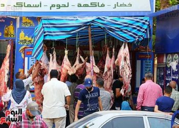 مفاجأة غير متوقعة فى سعر اللحوم اليوم بمنافذ وزارة الزراعة