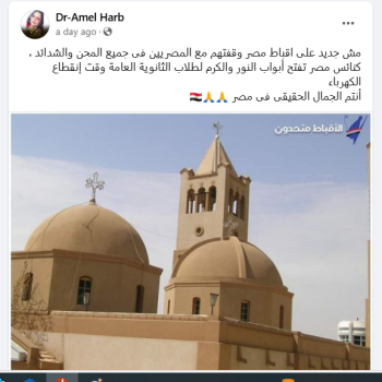 تعليق امل حرب استاذة جامعة الاسكندرية بمبادرة فتح الكنائس لطلاب الثانوية 2 تعليق امل حرب على مبادرة فتح الكنائس لطلاب الثانوية