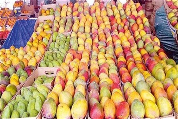 شعبة الخضروات والفواكه تكشف سبب تراجع سعر المانجو ل15 جنيه 3 سعر المانجو