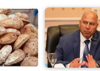 كامل الوزير يزف بشرى بشأن الدولار والخبز