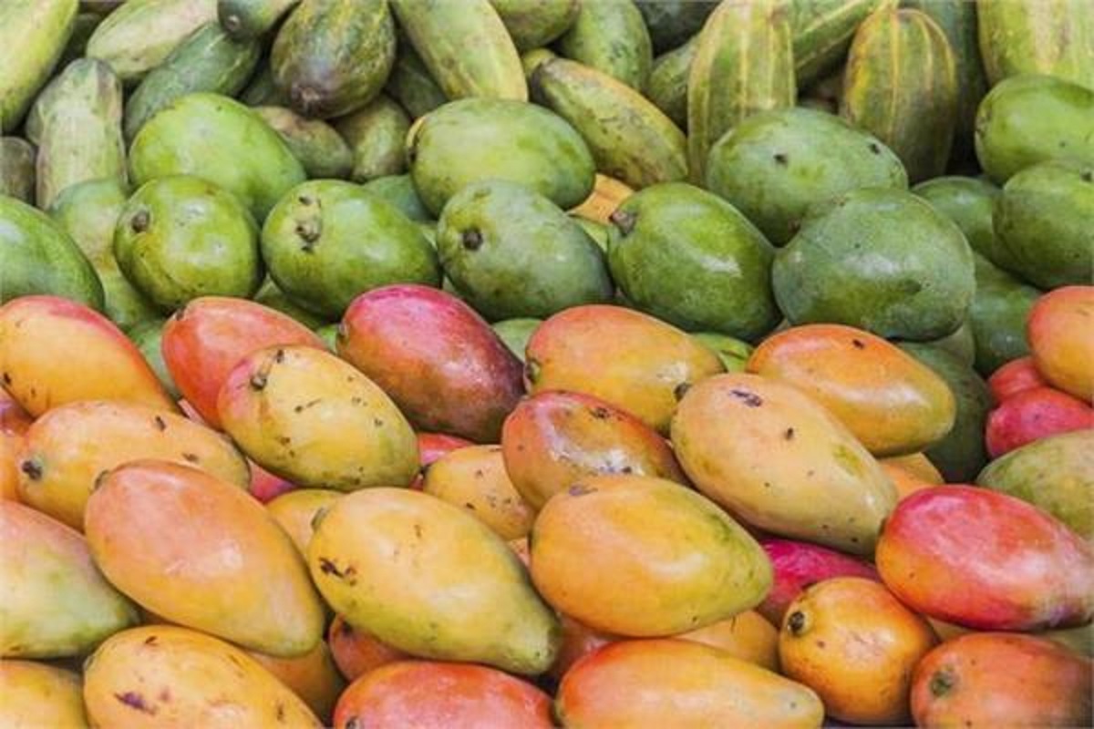 تعرف على 4 طرق سهلة للتخلص من أملاح المانجو الزائدة أثناء تناولها 2 أملاح المانجو