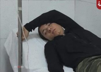 شهد سعيد