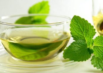 النعناع