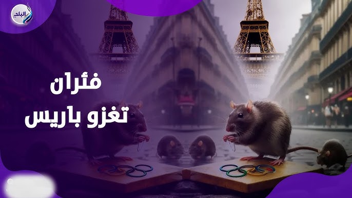 ذعر يجتاح أولمبياد باريس ملايين الفئران بحجم القطط يحاصرون مشجعي دورة الألعاب الأولمبية 3 ذعر يجتاح أولمبياد باريس بسبب الفئران