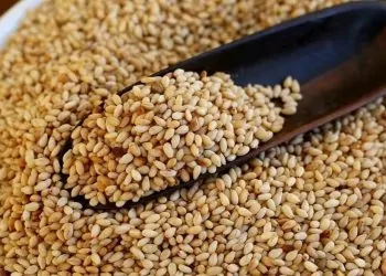 السمسم صديق للمرآة أطباء يكشفون لماذا يجب على كل أنثى تناوله يوميًا 11 دهون صحية ومضادات الأكسدة في بذور السمسم