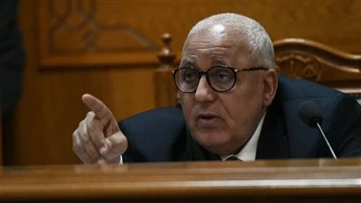 التحقيقات في قضية التمويل الجديدة نيابة أمن الدولة تكشف عن قائمة الاتهامات 2 التحقيقات في قضية التمويل الجديدة
