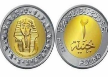 خطة حكومية للنقد المعدني طرح عملة 2 جنيه 11 عملة ال2 جنيه